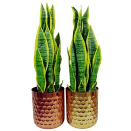Leaf Honeycomb Planter Copper 18cm x 15.5cm - Size: 18 cm x 15.5 cm - thumbnail 2