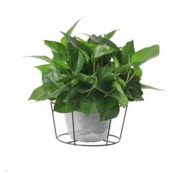 Living and Home Hanging Railing Plant Pot Stand Holder 22cm D in Brown - thumbnail 2