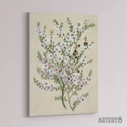 "Artery8 New Zealand Manuka Flowering Plant Featon Canvas Wall Art Print in Beige - Size: W18"" x H24""" - thumbnail 2