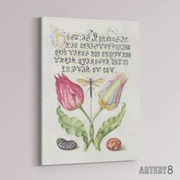 "Artery8 Tulip Ichneumon Wasp & Beans Calligraphy Canvas Wall Art Print in White - Size: W12"" x H16""" - thumbnail 2