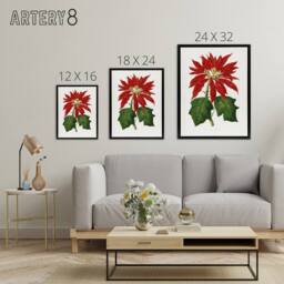 "Artery8 AF Lydon B Fawcett Vintage Poinsettia Illustration Framed Canvas Art in White - Size: W12"" x H16""" - thumbnail 4