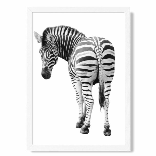 ARTZE Cheeky Zebra Animal Black & White Photo Framed Print SIZE: A3 with White Frame - Size: A4 - image 1