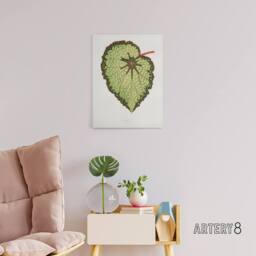 "Artery8 AF Lydon B Fawcett Begonia Rex Isis Variety Leaf Canvas Wall Art Print in White - Size: W12"" x H16""" - thumbnail 3