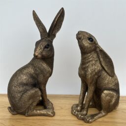 Animal Crackers Bronze Moongazing Hare, Leonardo Reflections Range, Gift Boxed, Height 18cm - thumbnail 8
