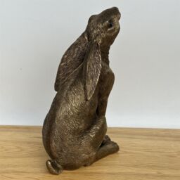 Animal Crackers Bronze Moongazing Hare, Leonardo Reflections Range, Gift Boxed, Height 18cm - thumbnail 7