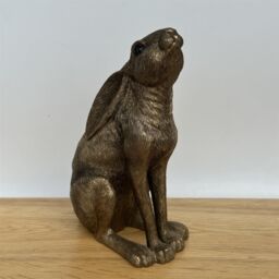 Animal Crackers Bronze Moongazing Hare, Leonardo Reflections Range, Gift Boxed, Height 18cm - thumbnail 5