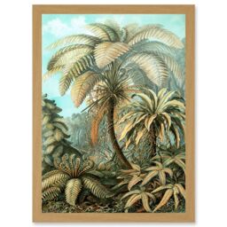 Artery8 Nature Biology Ferns Ernst Haeckel botanical Vintage Artwork Framed Wall Art Print A4 in Light Oak - thumbnail 1
