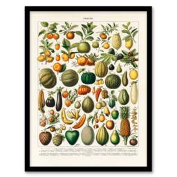 "Artery8 Fruits & Vegetables Vintage French Encyclopedia Framed Wall Art Print in Beige - Size: W12"" x H16""" - thumbnail 1