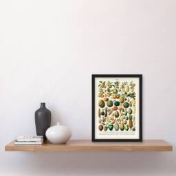 "Artery8 Fruits & Vegetables Vintage French Encyclopedia Framed Wall Art Print in Beige - Size: W12"" x H16""" - thumbnail 4