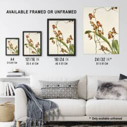 Artery8 Frederick Sander Oncidium Superbiens Orchid Flowers Framed Art Print - Size: A4 - thumbnail 3