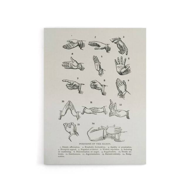 "Artery8 Positions of Hand Gestures Richardson Vintage Canvas Wall Art in White - Size: W24"" x H32""" - image 1