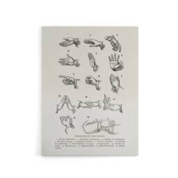"Artery8 Positions of Hand Gestures Richardson Vintage Canvas Wall Art in White - Size: W24"" x H32""" - thumbnail 1