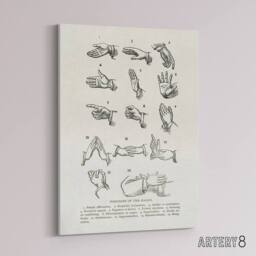 "Artery8 Positions of Hand Gestures Richardson Vintage Canvas Wall Art in White - Size: W24"" x H32""" - thumbnail 2