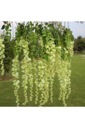 Living and Home 12 Pcs Hanging Artificial Wisteria Vine for Wedding Decoration in Light Green - thumbnail 4