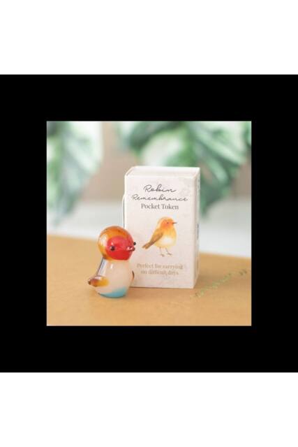 KDMD 24 Robin Remembrance Glass Pocket Tokens with Counter Display - image 1