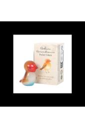 KDMD 24 Robin Remembrance Glass Pocket Tokens with Counter Display - thumbnail 2