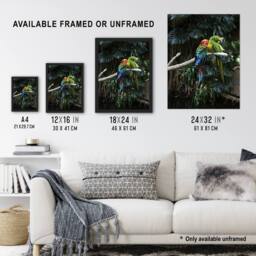 "Artery8 Colourful Sleeping Parrots Carol M Highsmith Wall Art Poster Print - Size: W24"" x H32""" - thumbnail 3