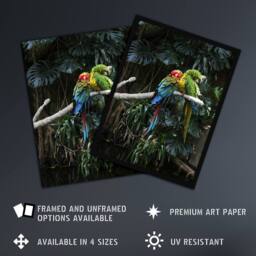 "Artery8 Colourful Sleeping Parrots Carol M Highsmith Wall Art Poster Print - Size: W24"" x H32""" - thumbnail 2