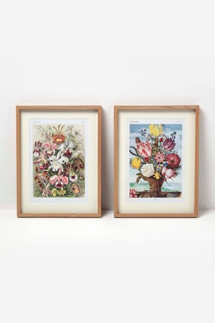 Homescapes Original Wall Decoration Botanical Flowers Set of Decorative Frames in Natural - image 1