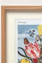 Homescapes Original Wall Decoration Botanical Flowers Set of Decorative Frames in Natural - thumbnail 4
