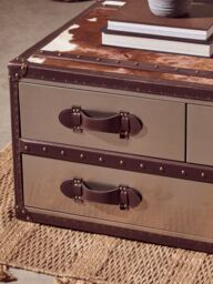 Orsina Brown & White Genuine Cowhide Coffee Table, Rectangular, Aluminium - thumbnail 4