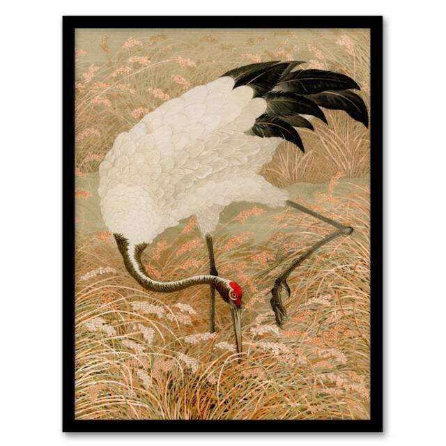 Artery8 G A Audsley Framed Wall Art Print Sarus Crane Foraging in Rice Field in Beige - Size: A4 - image 1