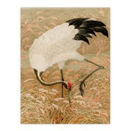 Artery8 G A Audsley Framed Wall Art Print Sarus Crane Foraging in Rice Field in Beige - Size: A4 - thumbnail 3