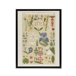 "Artery8 Leaves & Flowers From Nature No 8 Jones Black Framed Canvas Wall Art in Beige - Size: W12"" x H16""" - thumbnail 1