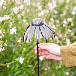 Paper High Metal Echinacea Flower Garden Stake Decoration in Black - thumbnail 2