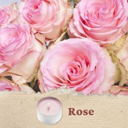 Marco Paul 20 Pack Rose Scented Candle Tealights in Baby Pink - thumbnail 3