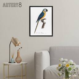 "Artery8 Blue & Yellow Macaw Parrot Levaillant Framed Canvas Wall Art Print in White - Size: W12"" x H16""" - thumbnail 3