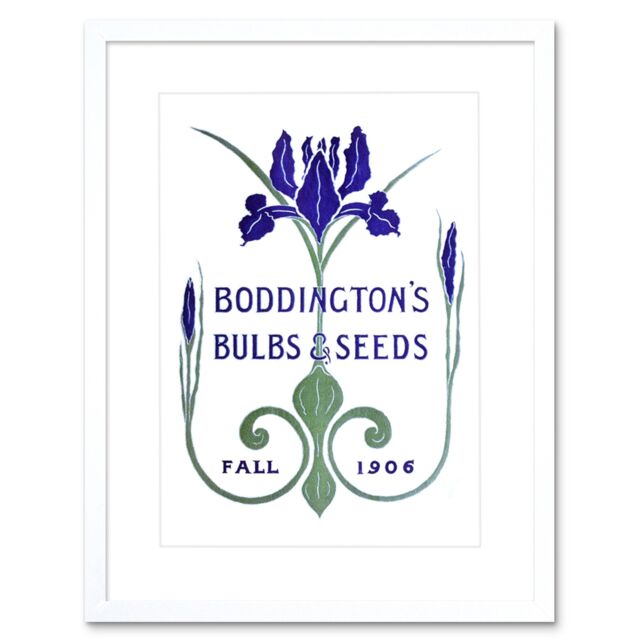 "Artery8 Wall Art Print Boddingtons Seeds Bulbs Fall 1906 Artwork Framed 9X7 Inch in White - Size: W7"" x H9""" - image 1