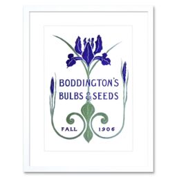 "Artery8 Wall Art Print Boddingtons Seeds Bulbs Fall 1906 Artwork Framed 9X7 Inch in White - Size: W7"" x H9""" - thumbnail 1