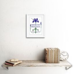 "Artery8 Wall Art Print Boddingtons Seeds Bulbs Fall 1906 Artwork Framed 9X7 Inch in White - Size: W7"" x H9""" - thumbnail 2