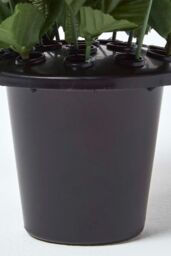 Homescapes Set of 3 Gypsophila Artificial Flowers in Grave Vases - thumbnail 6
