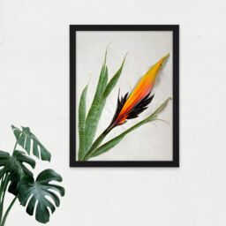 "Artery8 Wall Art Print Bird of Paradise Tropical Plant Flower & Leaves on White Large Framed Wall Décor Art in Light Oak - Size: W18"" x H24""" - thumbnail 2