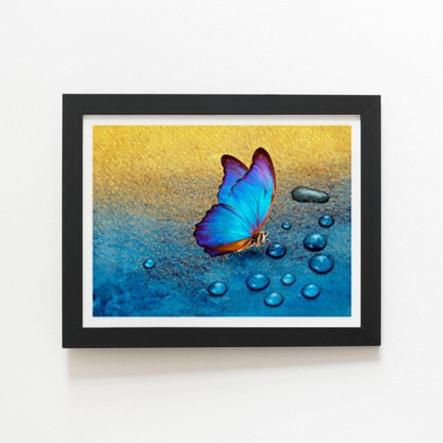 "Warren Reed - Designer Butterfly On Dew Drops Framed Art Print in Black - Size: W24"" x H36""" - image 1