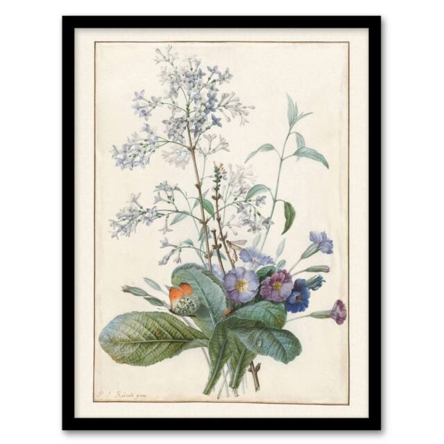 Artery8 Bouquet of Flowers with Insects Redoute Vintage Framed Wall Art Print in White - Size: A4 - image 1