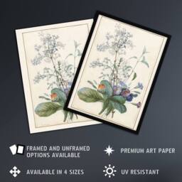 Artery8 Bouquet of Flowers with Insects Redoute Vintage Framed Wall Art Print in White - Size: A4 - thumbnail 2