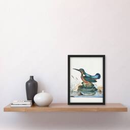 "Artery8 Common Kingfisher Vintage Illustration Bolton Framed Wall Art Print - Size: W12"" x H16""" - thumbnail 4