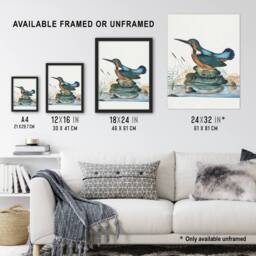 "Artery8 Common Kingfisher Vintage Illustration Bolton Framed Wall Art Print - Size: W12"" x H16""" - thumbnail 3