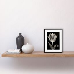 "Artery8 Wall Art Print A Single Tulip Flower Black & White Folk Artwork Framed 9X7 Inch - Size: W7"" x H9""" - thumbnail 2