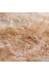 Native Natural Beige Sheepskin Rug XXL - Size: 60 cm x 120 cm - thumbnail 3