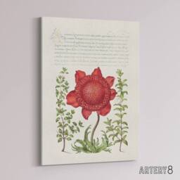 "Artery8 Poppy Anemone & Myrtle Calligraphy Canvas Wall Art Print in White - Size: W12"" x H16""" - thumbnail 2