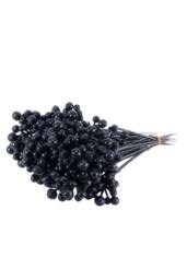 KDMD Black Plastic Berry x 50 7inch 2 Pack - thumbnail 2