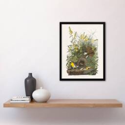 "Artery8 Meadowlark Bird False Foxglove Audubon Framed Wall Art Print in White - Size: W12"" x H16""" - thumbnail 4