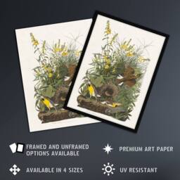 "Artery8 Meadowlark Bird False Foxglove Audubon Framed Wall Art Print in White - Size: W12"" x H16""" - thumbnail 2