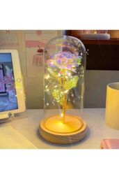Living and Home Eternal Rose Flower in Glass Dome with Wooden Base & LED Lighting for Gift - thumbnail 2