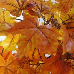 Leaf 125cm Extra Large Artificial Autumn Maple Acer Tree in Orange - thumbnail 4