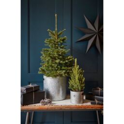 Ivyline Indoor Planter with Star in Galvanised Steel H28Cm W28Cm in Grey - thumbnail 3